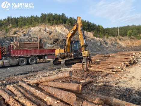 松木樁批發價格是多少?