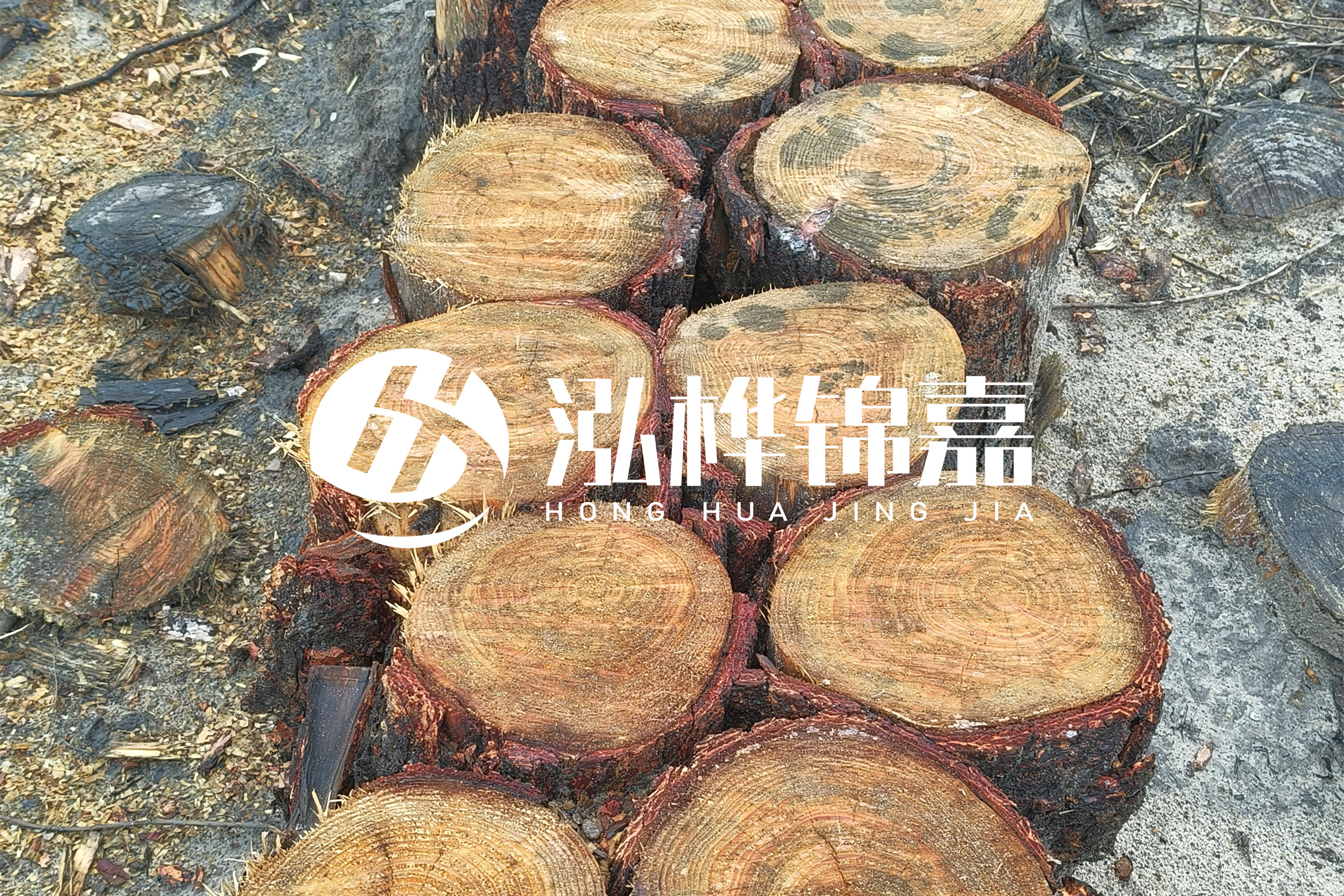 浙江臺州有清淤的公司嗎?浙江臺州有清淤施工隊嗎?