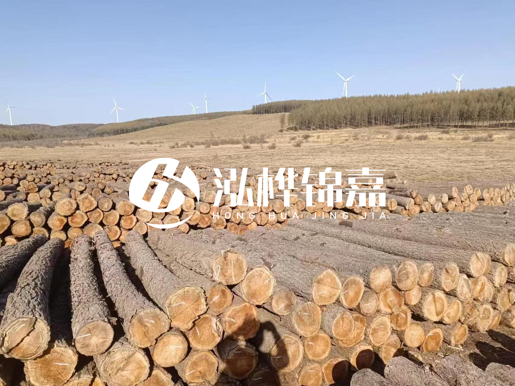 咸寧松木樁源頭廠家-哪里能買到質(zhì)量好的松木樁打樁木？