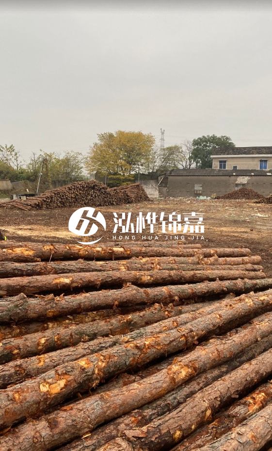 欽州松木樁源頭廠家-松木樁河道治理相比其他材料有何優勢？