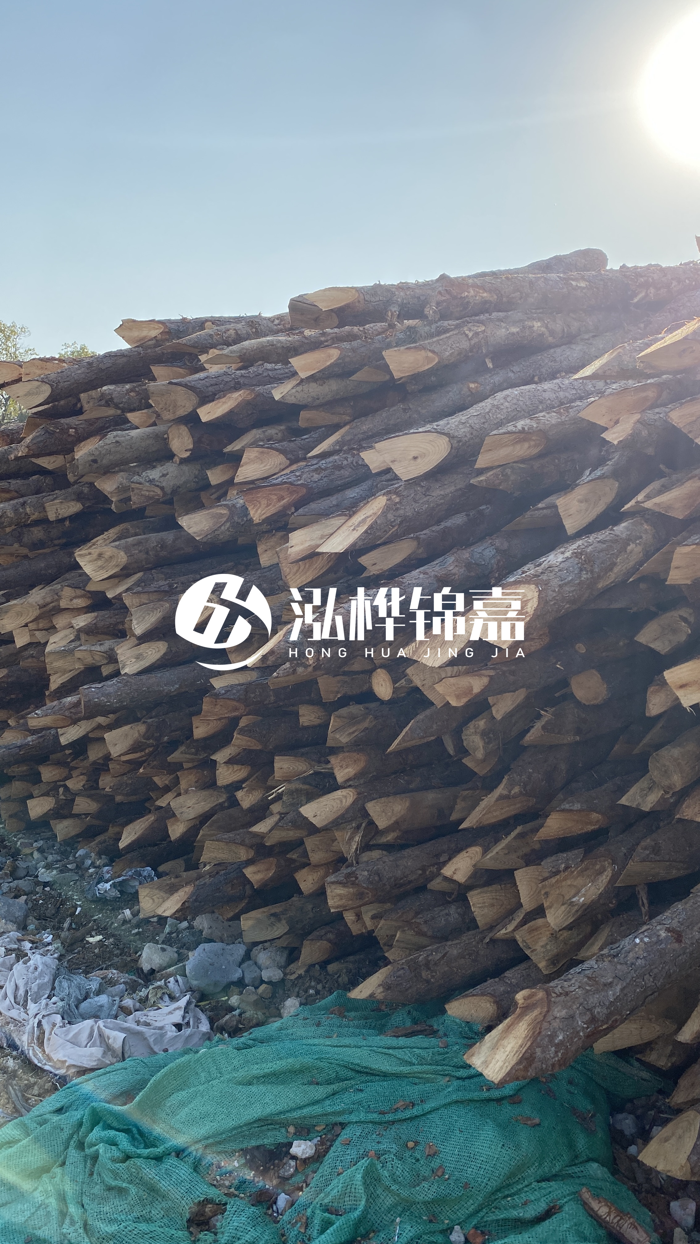 巴中松木樁源頭廠家-原木打樁木是否適合所有地質(zhì)條件?