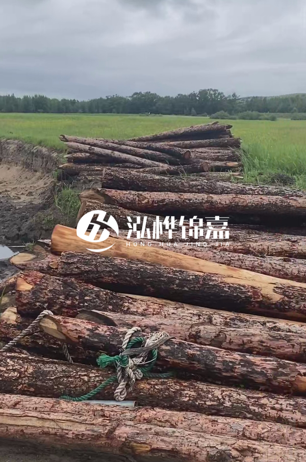 打樁木樁的選購標(biāo)準(zhǔn)是什么?材質(zhì)、尺寸與強(qiáng)度,哪些標(biāo)準(zhǔn)不能忽視?