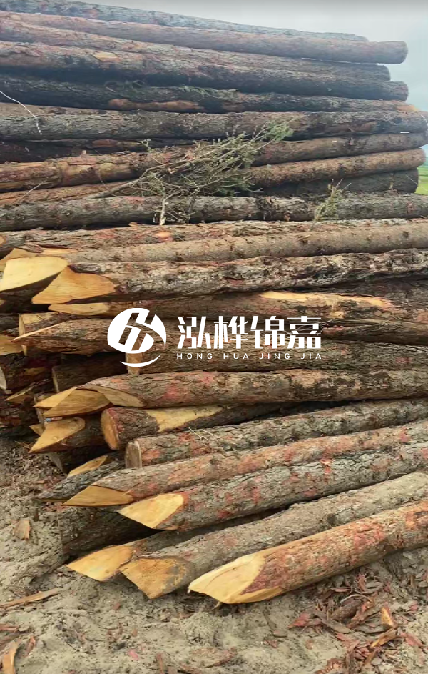 松木樁4米長尾徑14厘米價格是多少?一立方米有多少根?