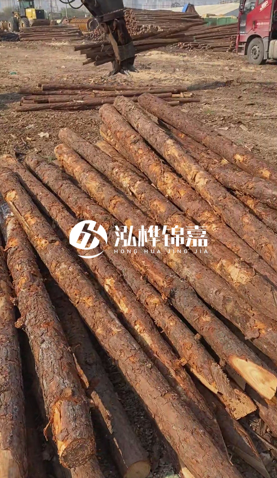 4.5米松木樁直徑14一根多少錢？5米14厘米多少錢？