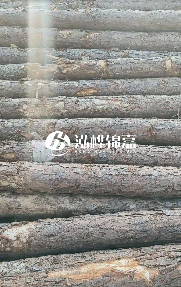 松木樁5米100mm一根多少錢-5米140mm多少錢？