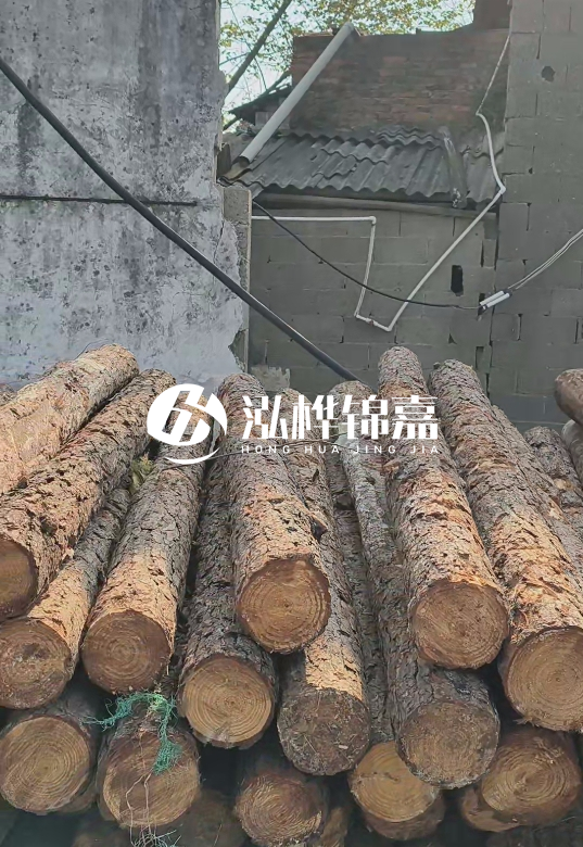 1.5米至2米長松木樁價格表-10-12公分大概多少錢一根?