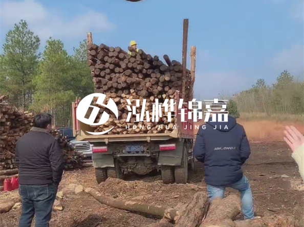 松木樁價格是按米算還是按根算?6米松木樁批發價每根多少錢?