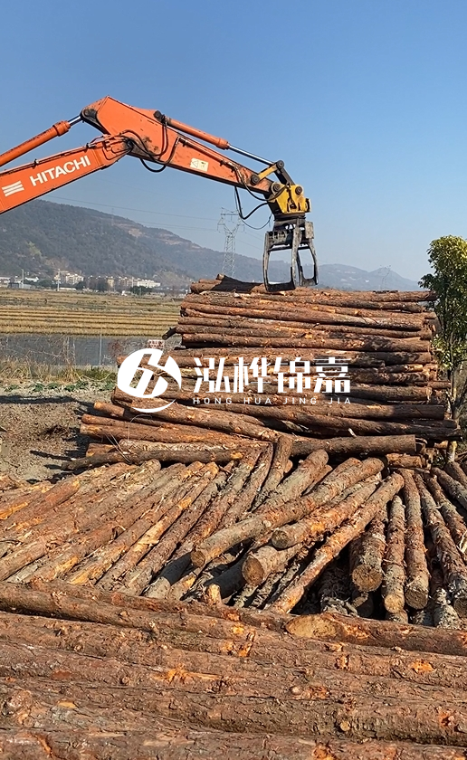 帶皮松木樁的防腐效果如何?和不帶皮松木樁價格差異有多大?