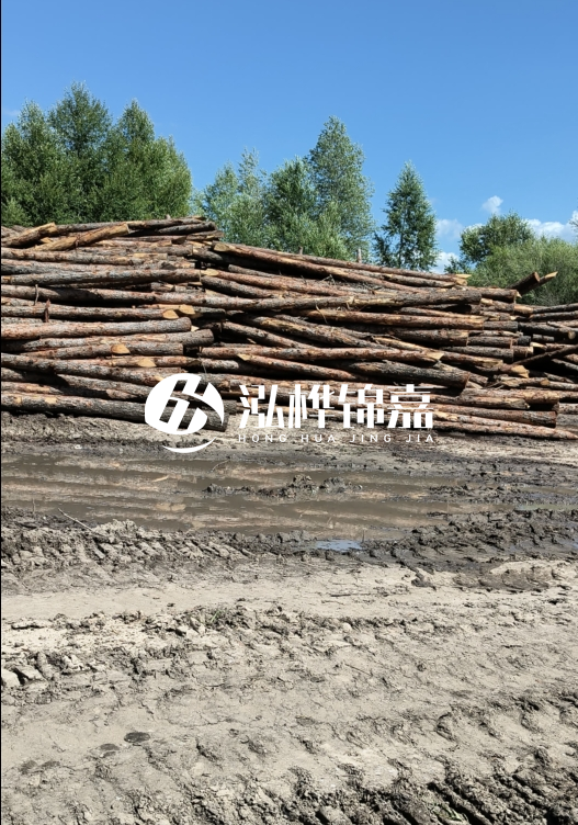 3米松木樁適合河道護坡嗎？小頭直徑8厘米的松木樁價格如何？