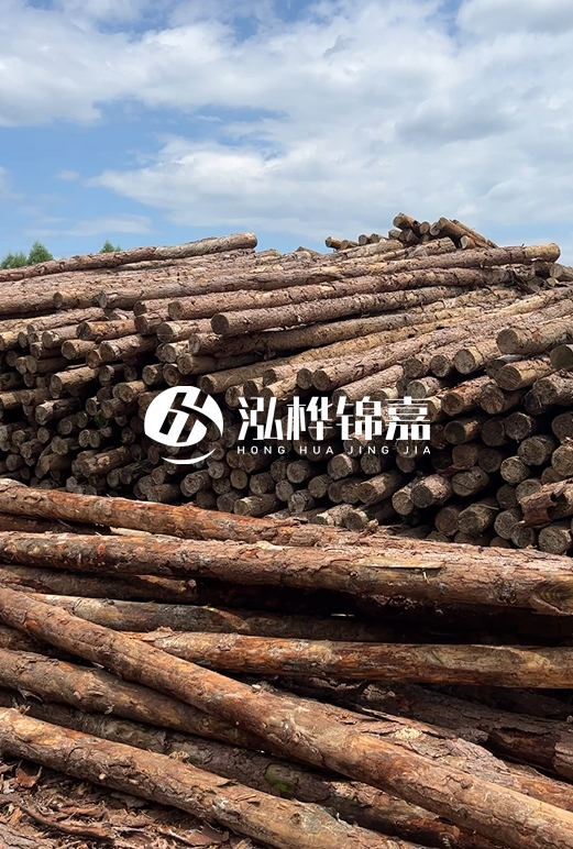 福建松木樁源頭廠家泓樺錦嘉-4.5米松木樁大頭15CM多少錢?
