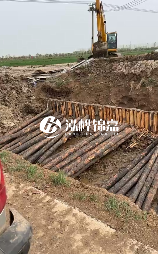 4米直徑12-13油松批發(fā)價最低多少?報價含稅含運嗎?