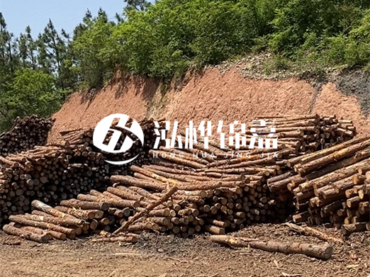 油松打樁木和落葉松打樁木的價格差異是多少？哪個性價比更高？