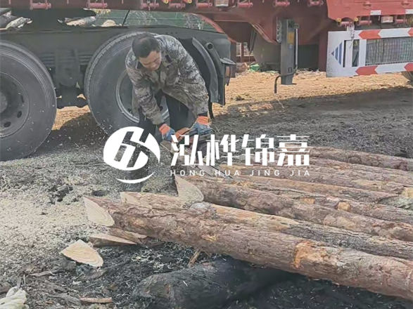 松木圓木價格大概多少一方-松木樁廠家按方可以賣嗎?