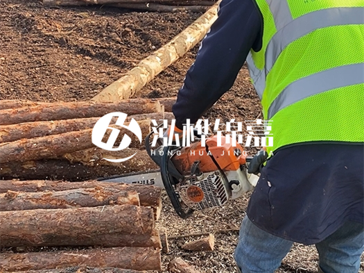 河道打木樁多少錢一根？5米直徑10松木樁打樁多少錢？