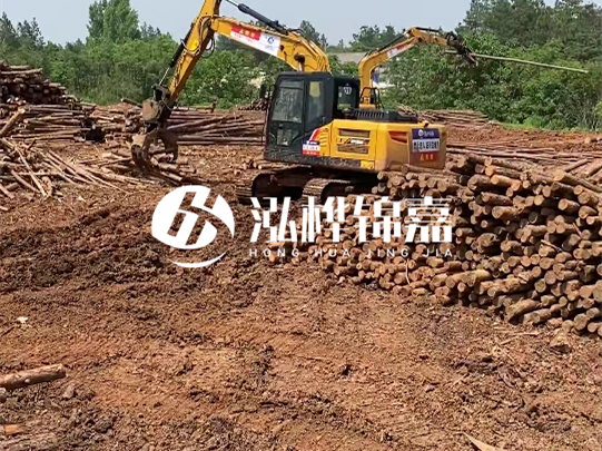 河道松木樁廠家聯系方式-6米10-15公分價格是多少?