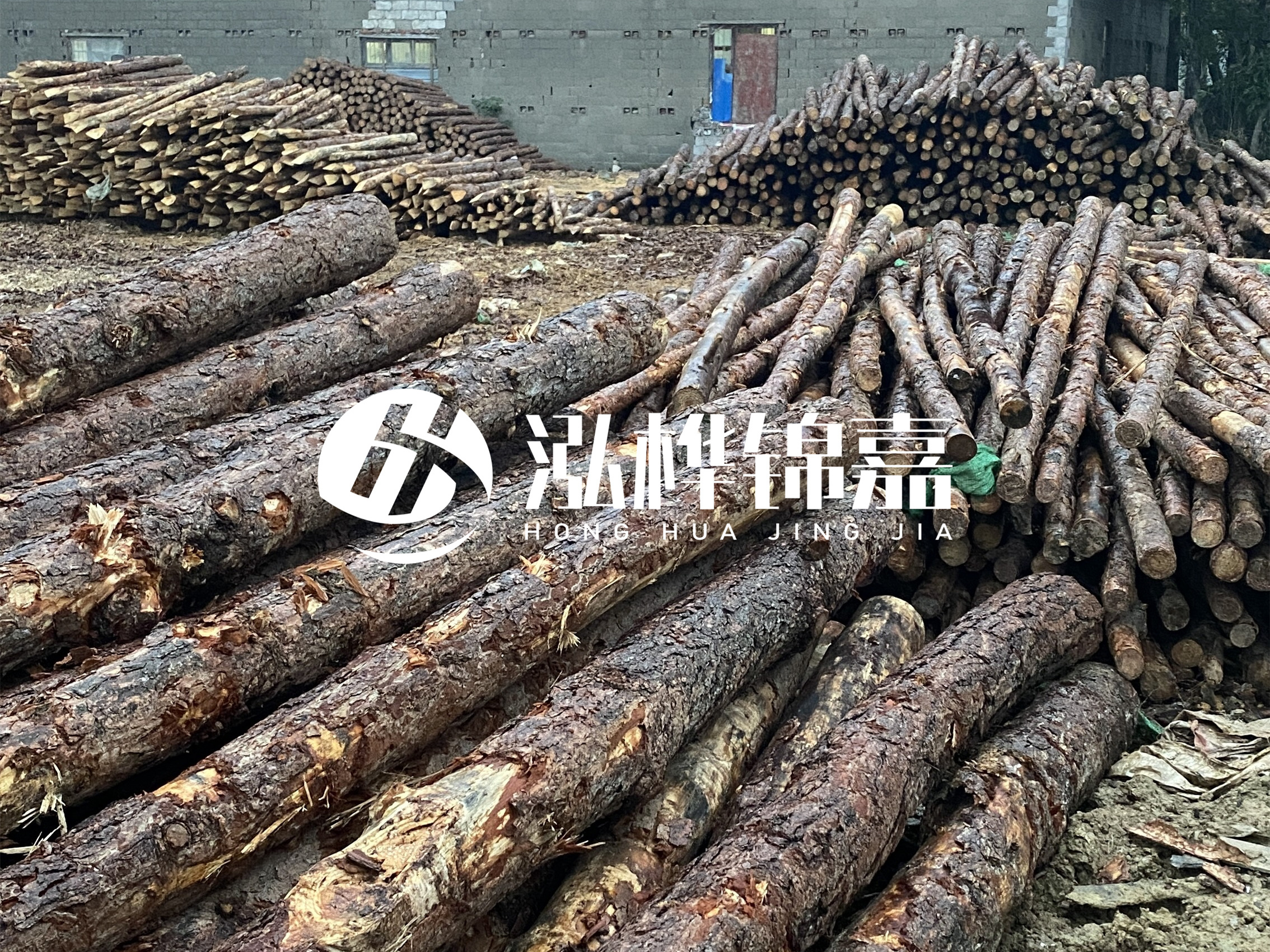 松木樁批發廠家泓樺錦嘉 - 河道松木樁如何選擇優質木材？