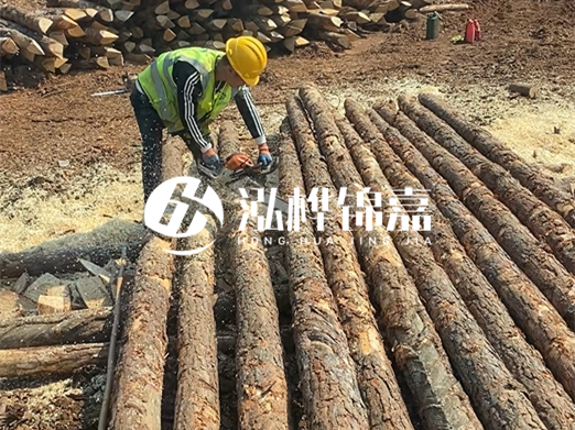 松木樁批發廠家泓樺錦嘉-河道打樁木施工中怎么防止樁頭被打壞？