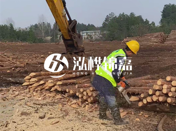 松木樁施工隊泓樺錦嘉 - 松木打樁在水里管幾年？